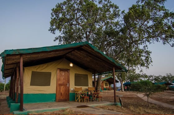 2 Days Mombasa budget Camping safari to Tsavo East